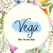 Vega Çanta Store